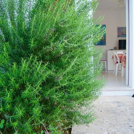Appartamento Belmar *